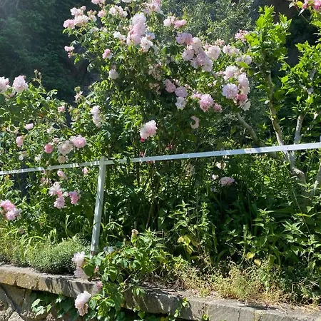 Szálloda Parco Erosa